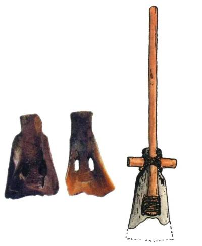 8000 年前的「米其林」盛宴：河姆渡人用牛骨吃饭的惊天秘密