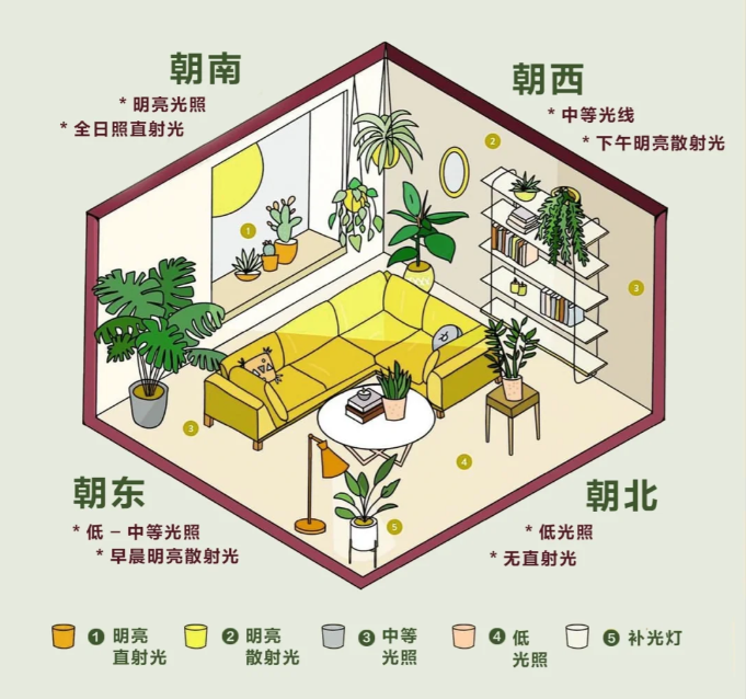 http://st-static1.zxmfqs.cn/forums/2025/02/06/17388128291586.png