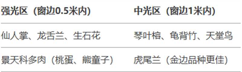 http://st-static1.zxmfqs.cn/forums/2025/02/06/17388132986241.jpg