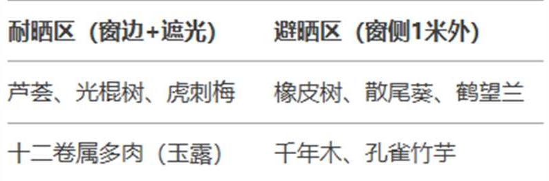 http://st-static1.zxmfqs.cn/forums/2025/02/06/17388142171387.jpg