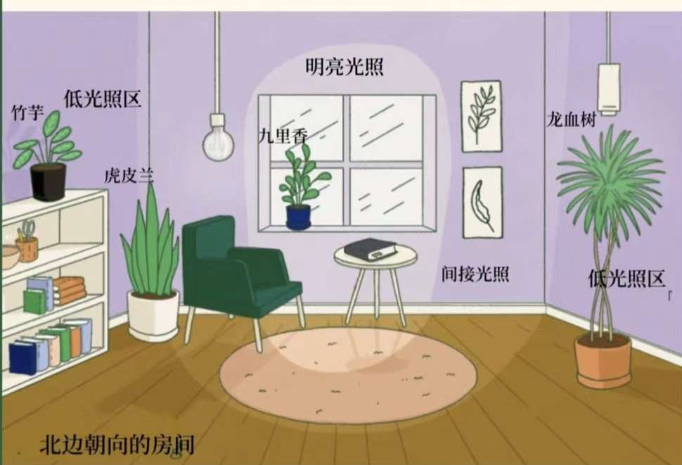http://st-static1.zxmfqs.cn/forums/2025/02/06/17388144187134.jpeg