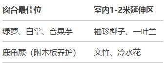 http://st-static1.zxmfqs.cn/forums/2025/02/06/17388144817834.png