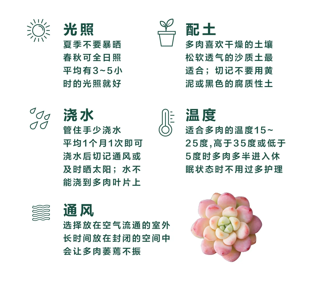 http://st-static1.zxmfqs.cn/forums/2025/02/10/17391722467857.png
