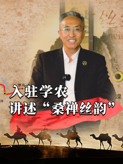 穿越千年，蚕桑丝绸文化熠熠生辉！今天，&ldquo;桑禅丝韵&rdquo;带你揭开神秘面纱，探寻蚕桑密码！#丰农控股 #蚕桑丝绸 #丝绸之路