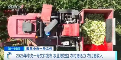 2025中央一号文件深度解读丨园艺景观行业迎来黄金发展期，三大机遇不可错过！