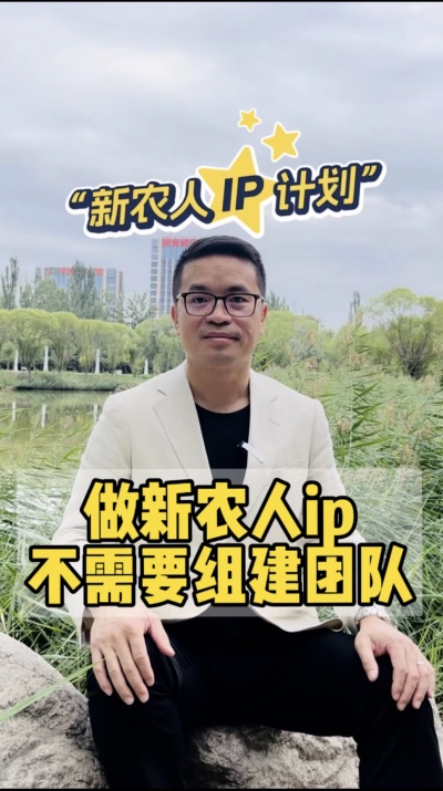 做ip不需要组建团队