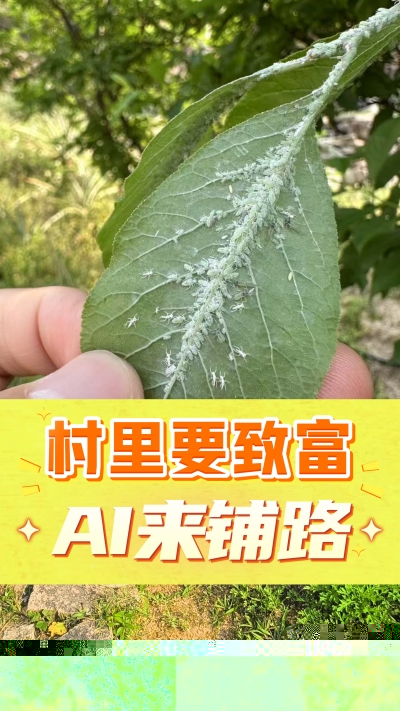 没有套路的农村AI工具，就是识农小程序