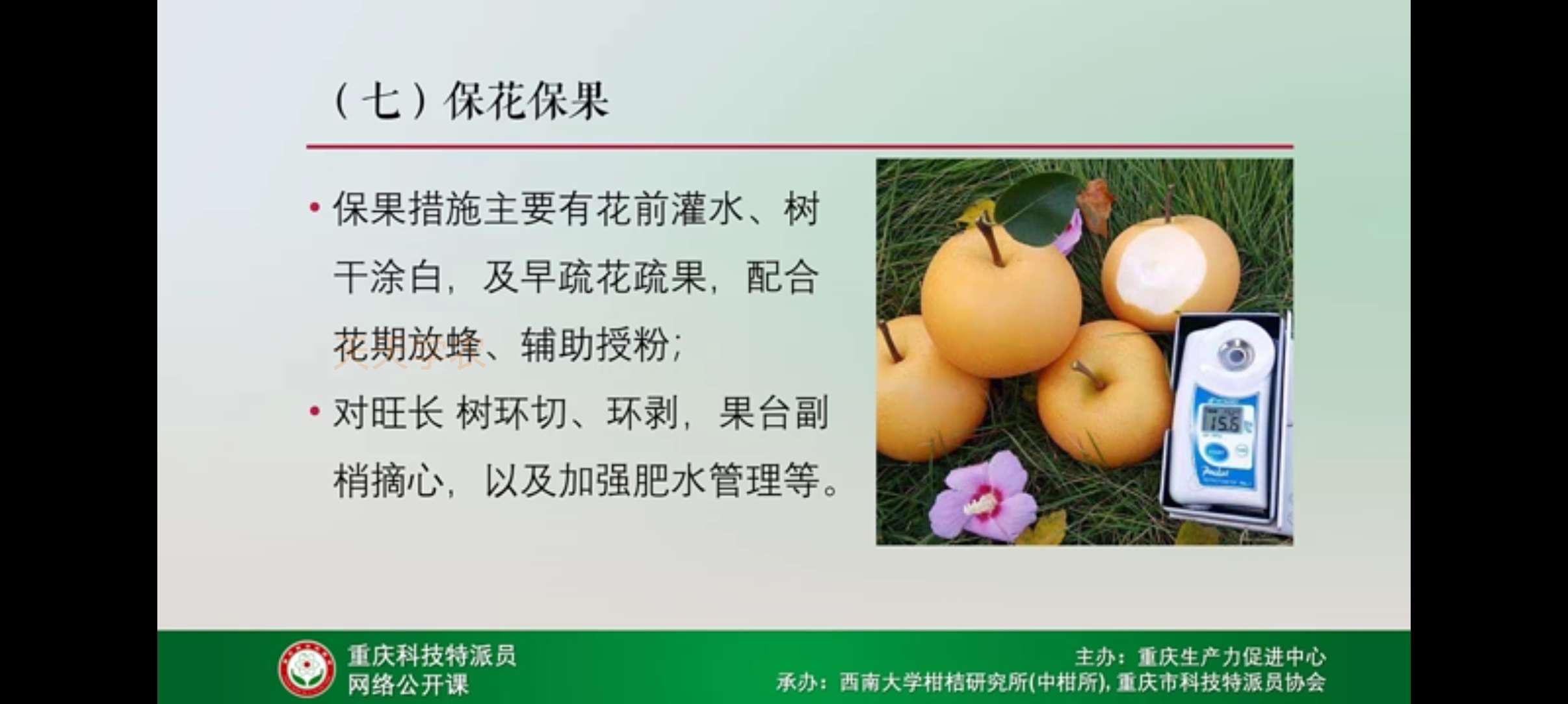 http://st-static1.zxmfqs.cn/forums/2025/04/20/17451291568942.jpeg