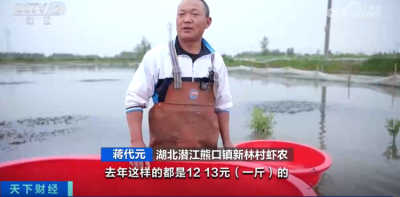 小龙虾越卖越便宜，这些养殖户还在赚钱