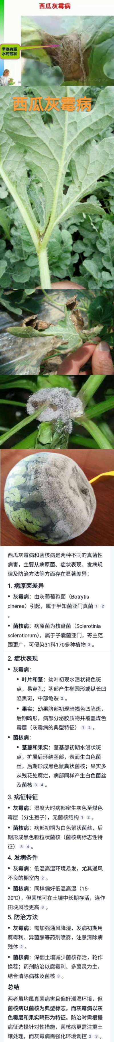 http://st-static1.zxmfqs.cn/forums/2025/04/23/17453975972028.jpeg