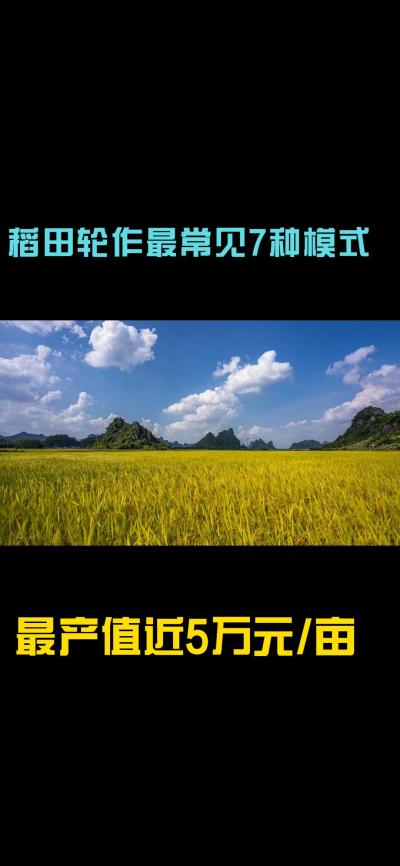 &ldquo;一田多收，藏着农业增收的密码！今天带您1分钟看懂水稻轮作的致富密码