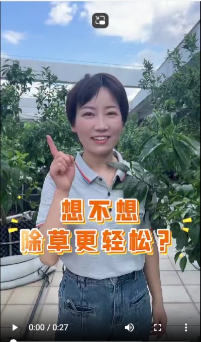 打了除草剂，死草慢，草死了两天又活了，怎么办？我教你一招
