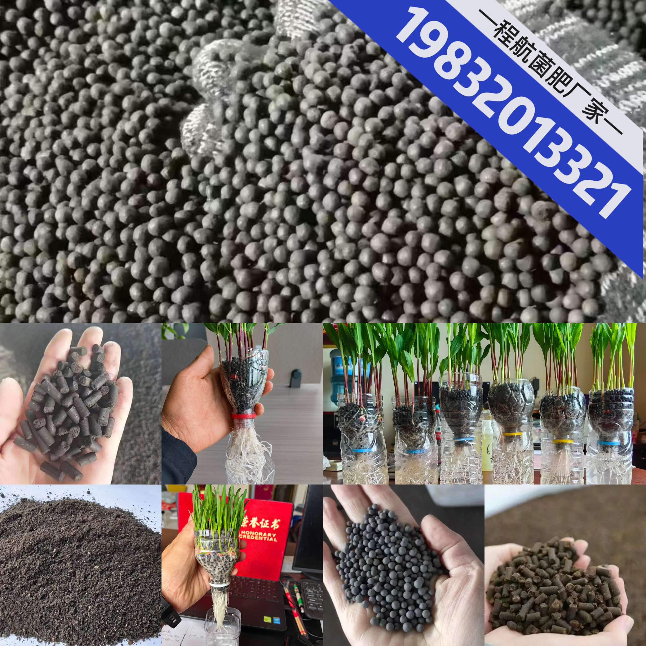 http://st-static1.zxmfqs.cn/forums/2025/06/25/17508210784306.jpeg