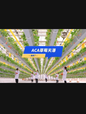 自由升降、追光生长。#ACA草莓天瀑，美爆了！向天再借500平！#ACA可控农业 #华维集团 #数字农业