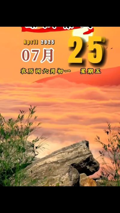 有机肥生产