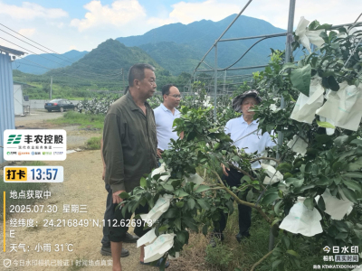 邓老师带队考察开发泰国红宝石基地。