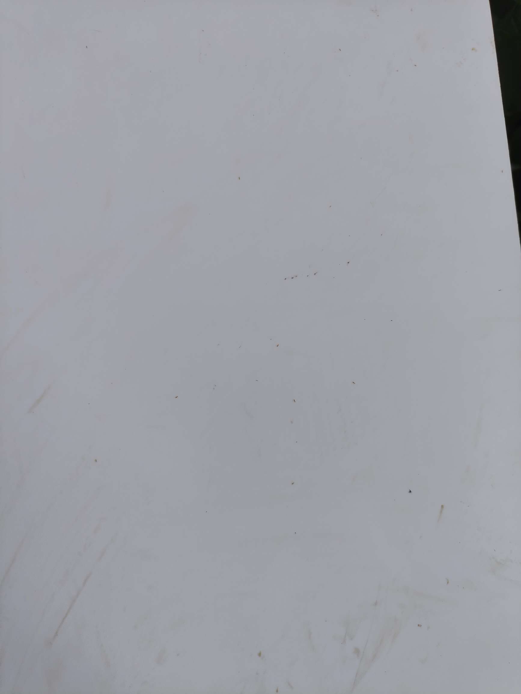 http://st-static1.zxmfqs.cn/forums/2025/08/18/17555288245629.jpeg