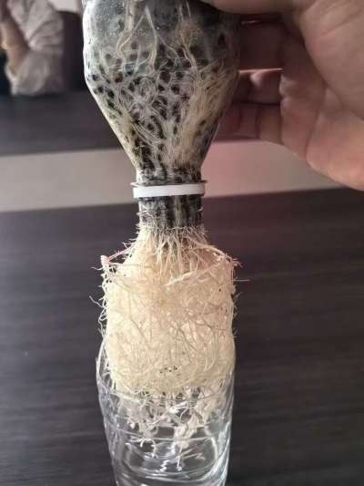 年销售量三十万吨的有机肥生产厂家，全国网点发货，资质齐全，正品保障！有机肥、生物菌肥、微生物肥料等