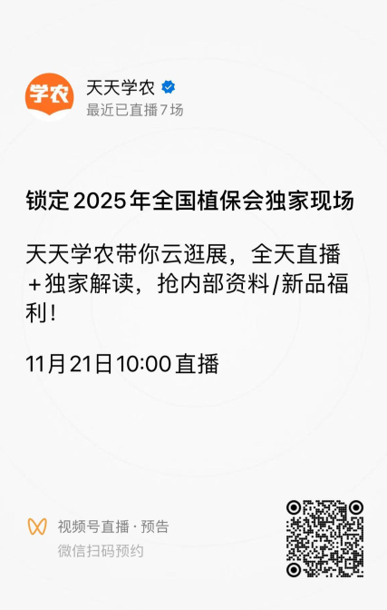 http://st-static1.zxmfqs.cn/forums/2025/11/18/17634292668744.png