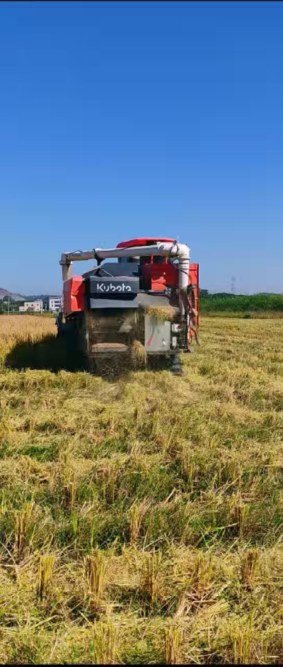 惠州基地，无人拖拉机收水稻了。