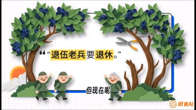 第7节：修剪决定产量（下）&mdash;&mdash;结果树的更新与疏果，课程：《蓝莓&ldquo;高产&rdquo;实战课：从选苗到丰收的10个关键点》