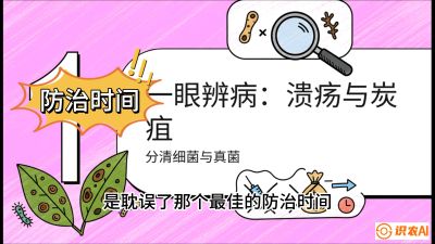 第三节：细菌与真菌&mdash;&mdash;溃疡病与炭疽病，课程：《柑橘十大病虫害：从入门到精通》