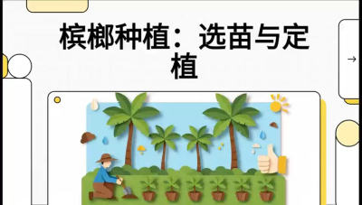 第01节：选苗与定植&mdash;&mdash;&ldquo;苗好一半收，底肥定千秋&rdquo;课程：《槟榔种植：从不懂到精通的10堂必修课》
