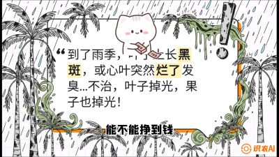 第05节：常见真菌病害&mdash;&mdash;&ldquo;炭疽与烂心，早防值千金&rdquo;《槟榔种植：从不懂到精通的10堂必修课》
