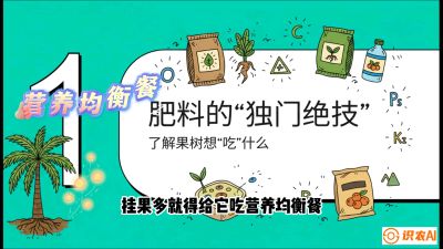第07节：科学施肥&mdash;&mdash;&ldquo;氮磷钾配好，树壮果不倒