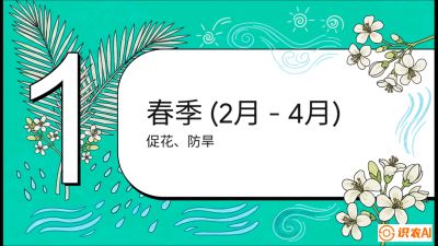 第10节：周年农事日历&mdash;&mdash;&ldquo;跟着节气走，丰产在手头&rdquo;《槟榔种植：从不懂到精通的10堂必修课》