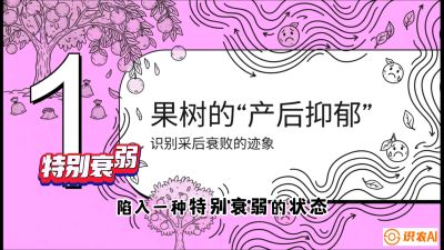 第2节：【冬肥策略】采后&ldquo;月子肥&rdquo;：大小年的精准干预术，课程：《柑橘底肥&ldquo;翻身账&rdquo;：从改土到高产的实战全书》