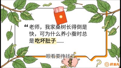 第01节：不仅仅是树&mdash;&mdash;顶级品种选配策略，课程：《桑海淘金：桑树高产与蚕桑安全进阶实战课》