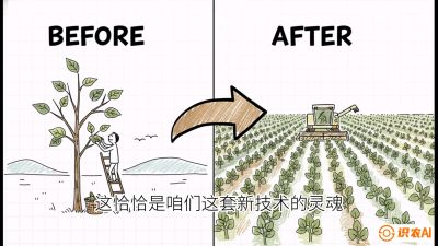 第02节：把树变成草&mdash;&mdash;&ldquo;草本化密植&rdquo;技术，课程：《桑海淘金：桑树高产与蚕桑安全进阶实战课》