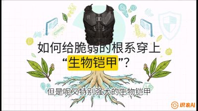 第三节：国产榴莲突围战：根系堡垒，菌根微生态构建与黄金定植窗口，课程：《国产榴莲突围战：从泰国经验到中国实操的8堂必修课（高阶实战版）》