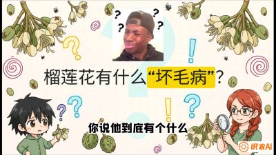 第六节：榴莲的午夜战事，夜间授粉战与花果期避雨策略，课程：《国产榴莲突围战：从泰国经验到中国实操的8堂必修课（高阶实战版）》