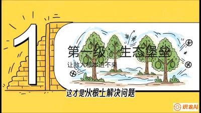 第七节：榴莲防御战：病虫害三级立体防控，疫霉菌与虫害的立体封锁线，课程：《国产榴莲突围战：从泰国经验到中国实操的8堂必修课（高阶实战版）》