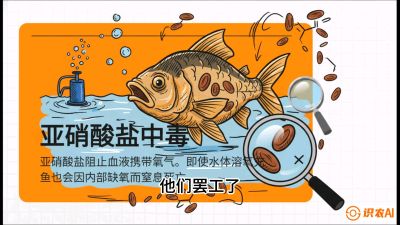 第二节：【水质内功】看不见的杀手：氨氮与亚硝酸盐的&ldquo;生死局&rdquo;，课程：《黄金鳞甲：2025中国淡水鱼高效养殖实战营》