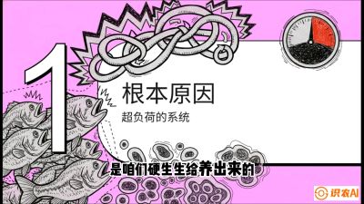 第三节：【爆款单品&middot;加州鲈】从&ldquo;玻璃鱼&rdquo;到&ldquo;摇钱树&rdquo;的通关秘籍，课程：《黄金鳞甲：2025中国淡水鱼高效养殖实战营》