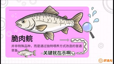 第六节：【老品升级&middot;脆肉鲩】如何让草鱼身价翻倍？，课程：《黄金鳞甲：2025中国淡水鱼高效养殖实战营》