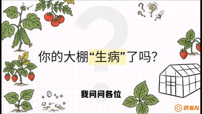 第2节（解毒篇）： 大棚里的&ldquo;红白绿&rdquo;警报&mdash;&mdash;读懂土壤盐渍化的求救信号，课程：《揭秘土壤的秘密：让土地帮你赚钱》#识农AI