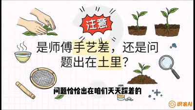 第02节（土肥篇）：告别&ldquo;苦涩水味&rdquo;：揭秘&ldquo;碳氮比&rdquo;调控术，种出自带兰花香的好茶底，课程：《茶金时代：从&ldquo;看天吃饭&rdquo;到&ldquo;精准控局&rdquo;的茶叶高产提质实战课》