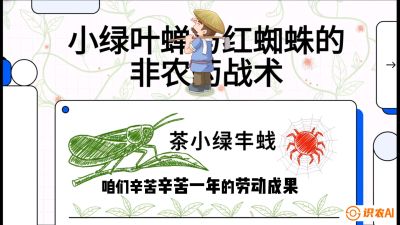 第03节（虫害篇）：看不见的吸血鬼：小绿叶蝉与红蜘蛛的&ldquo;非农药&rdquo;团灭战术（抗性治理），课程：《茶金时代：从&ldquo;看天吃饭&rdquo;到&ldquo;精准控局&rdquo;的茶叶高产提质实战课》