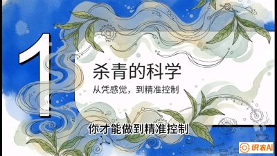 第05节（加工篇）：决胜2分钟：用&ldquo;数字温控&rdquo;破解杀青不匀，复刻大师级手工口感，课程：《茶金时代：从&ldquo;看天吃饭&rdquo;到&ldquo;精准控局&rdquo;的茶叶高产提质实战课》