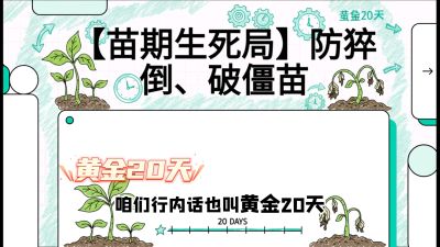 第2节：【苗期生死局】防猝倒、破僵苗，决定后期产量的&ldquo;黄金20天&rdquo;，课程：《辣椒种植实战特训营，从工业辣椒到精品小米辣，教你如何把&ldquo;草&rdquo;种成&ldquo;金&rdquo;》