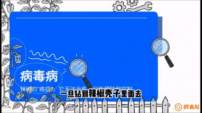 第5节：【病毒病阻击】辣椒的&ldquo;癌症&rdquo;怎么治？从&ldquo;绝收恐慌&rdquo;到&ldquo;带毒生产&rdquo;的逆转术，课程：《辣椒种植实战特训营，从工业辣椒到精品小米辣，教你如何把&ldquo;草&rdquo;种成&ldquo;金&rdquo;》