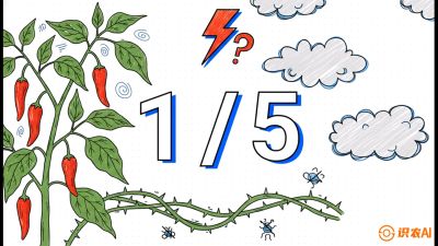 第6节：【花果爆发术】落花落果的五大元凶，与&ldquo;三喷一保&rdquo;坐果黑科技，课程：《辣椒种植实战特训营，从工业辣椒到精品小米辣，教你如何把&ldquo;草&rdquo;种成&ldquo;金&rdquo;》