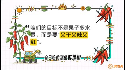 第7节：【工业辣椒专场】追求极致辣度！干物质提升与机械化采收的&ldquo;催红秘籍&rdquo;，课程：《辣椒种植实战特训营，从工业辣椒到精品小米辣，教你如何把&ldquo;草&rdquo;种成&ldquo;金&rdquo;》