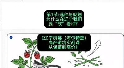 第一节： 选种与规划&mdash;&mdash;为什么在辽宁我们要&ldquo;砍&rdquo;着种？，课程：《辽宁树莓（海尔特兹）高产避坑实战课：从保苗到高价》