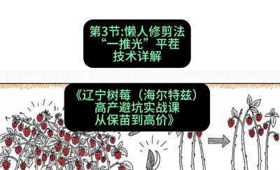 第三节： 懒人修剪法&mdash;&mdash;&ldquo;一推光&rdquo;平茬技术详解，课程：《辽宁树莓（海尔特兹）高产避坑实战课：从保苗到高价》