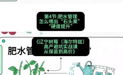 第四节： 肥水管理&mdash;&mdash;怎么喂出&ldquo;石头果&rdquo;（硬度提升），课程：《辽宁树莓（海尔特兹）高产避坑实战课：从保苗到高价》